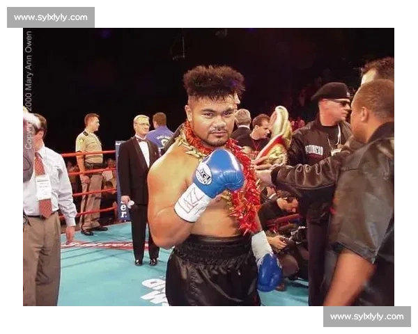 重拳对轰的重量级经典之战大卫图阿对决伊比布奇巅峰拳坛史诗回顾